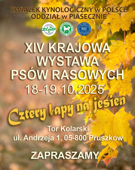 Przygotowania do XIV Krajowej Wystawy Psów Rasowych